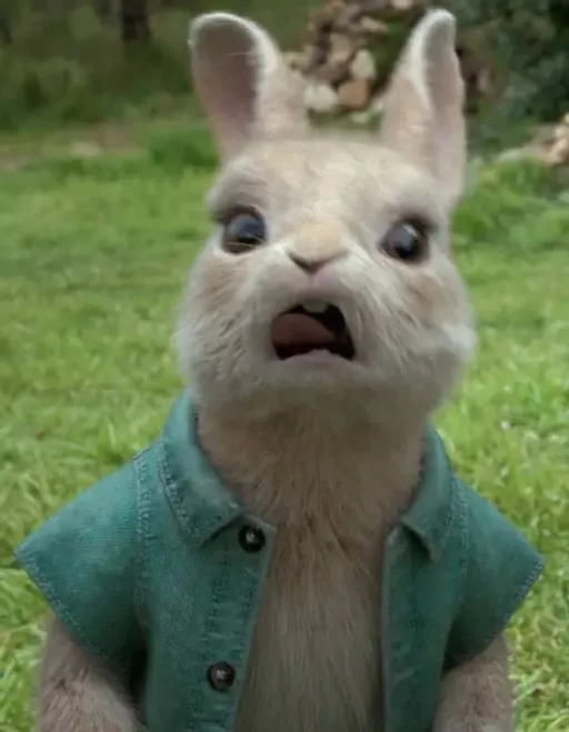 Cotton-Tail (Peter Rabbit) - AIEasyPic